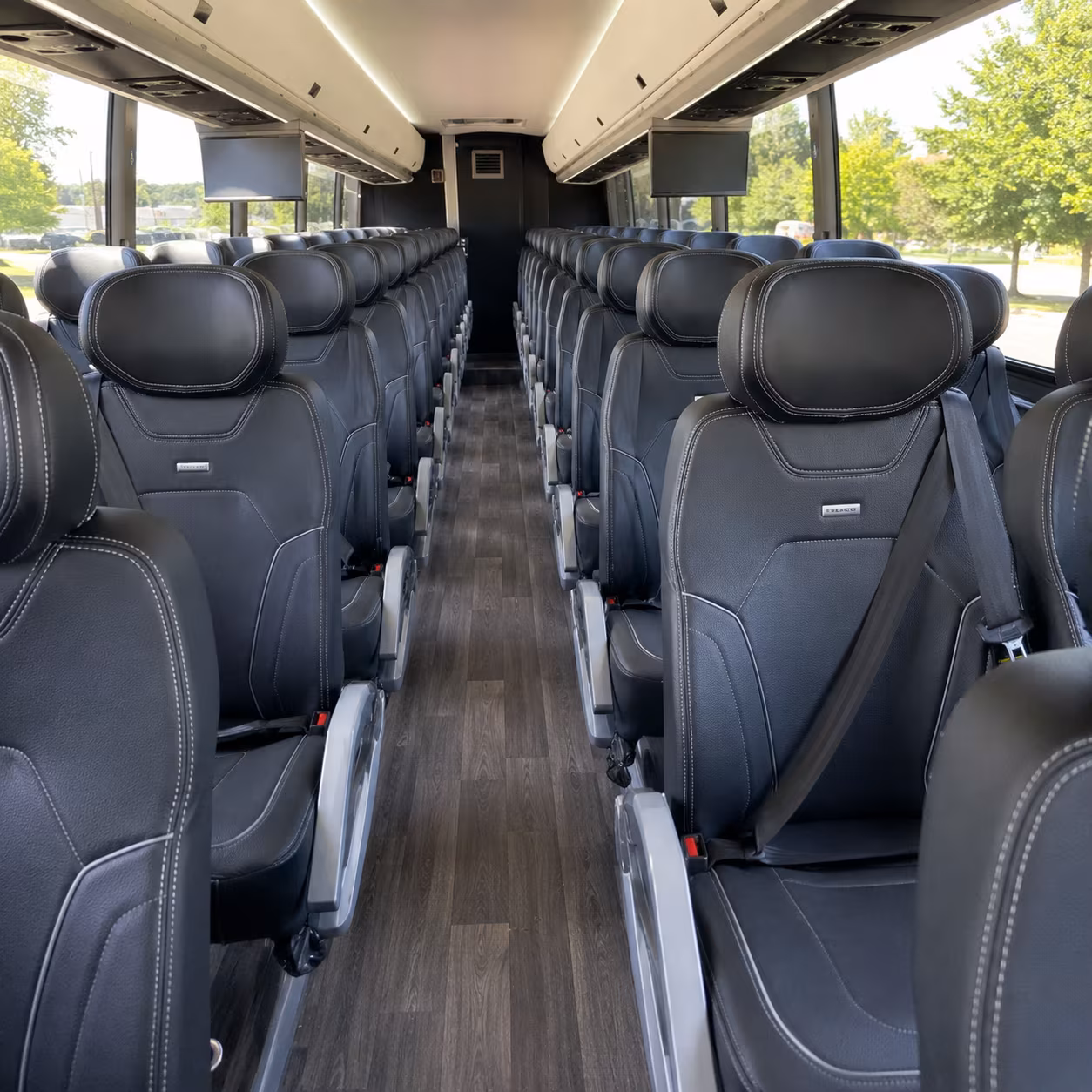 Carrollton School Event Transportation party bus exterior