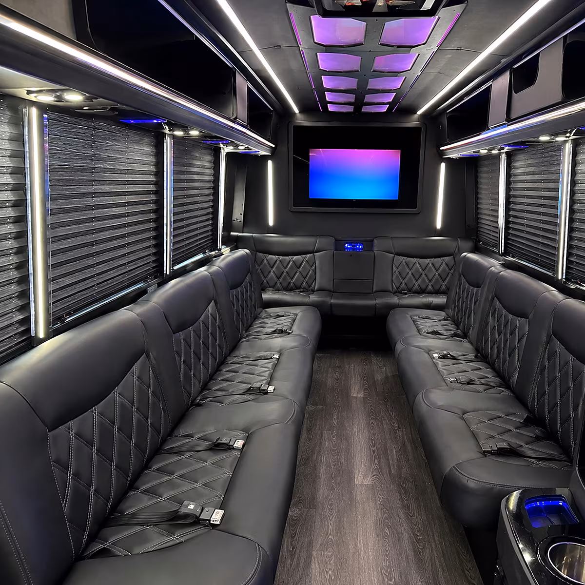 Carrollton Wedding Transportation party bus interior