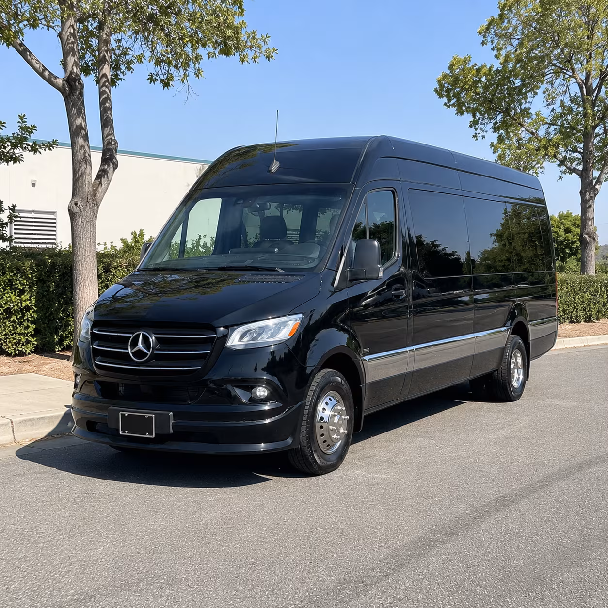 Lewisville Corporate Event Transportation