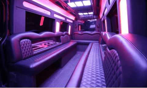 Garland 14 Passenger Sprinter Bus Interior